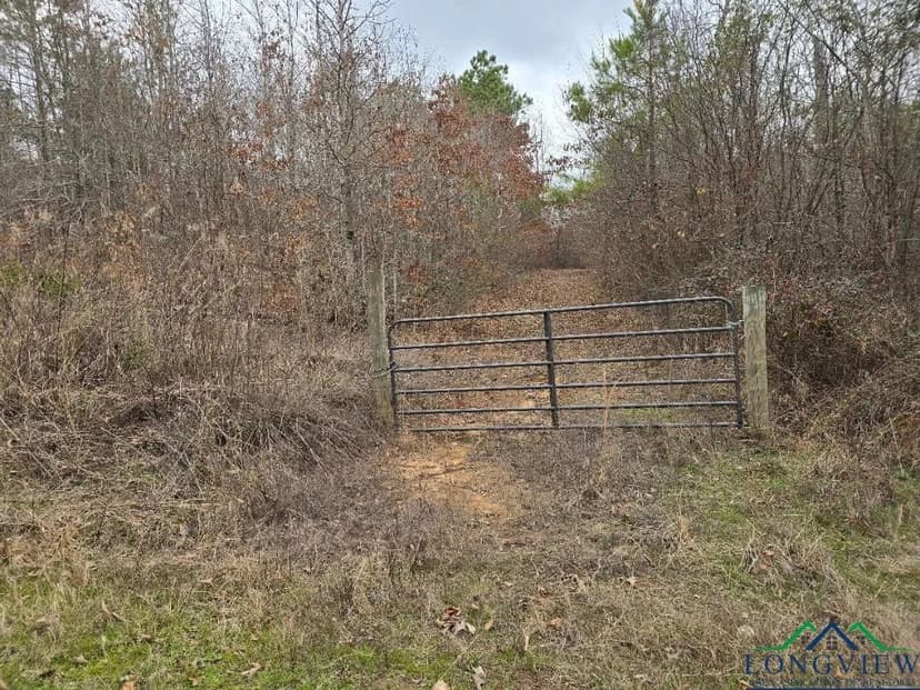 Lots & Land-Other in Linden