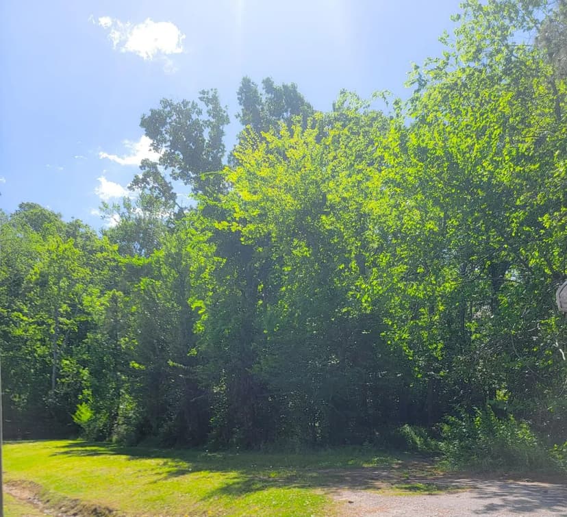 Lots & Land-Other in Moncks Corner
