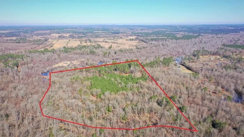 Property from 2173 County Road 1462 - KW