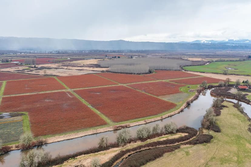 Property from 78384 Collins Road - KW