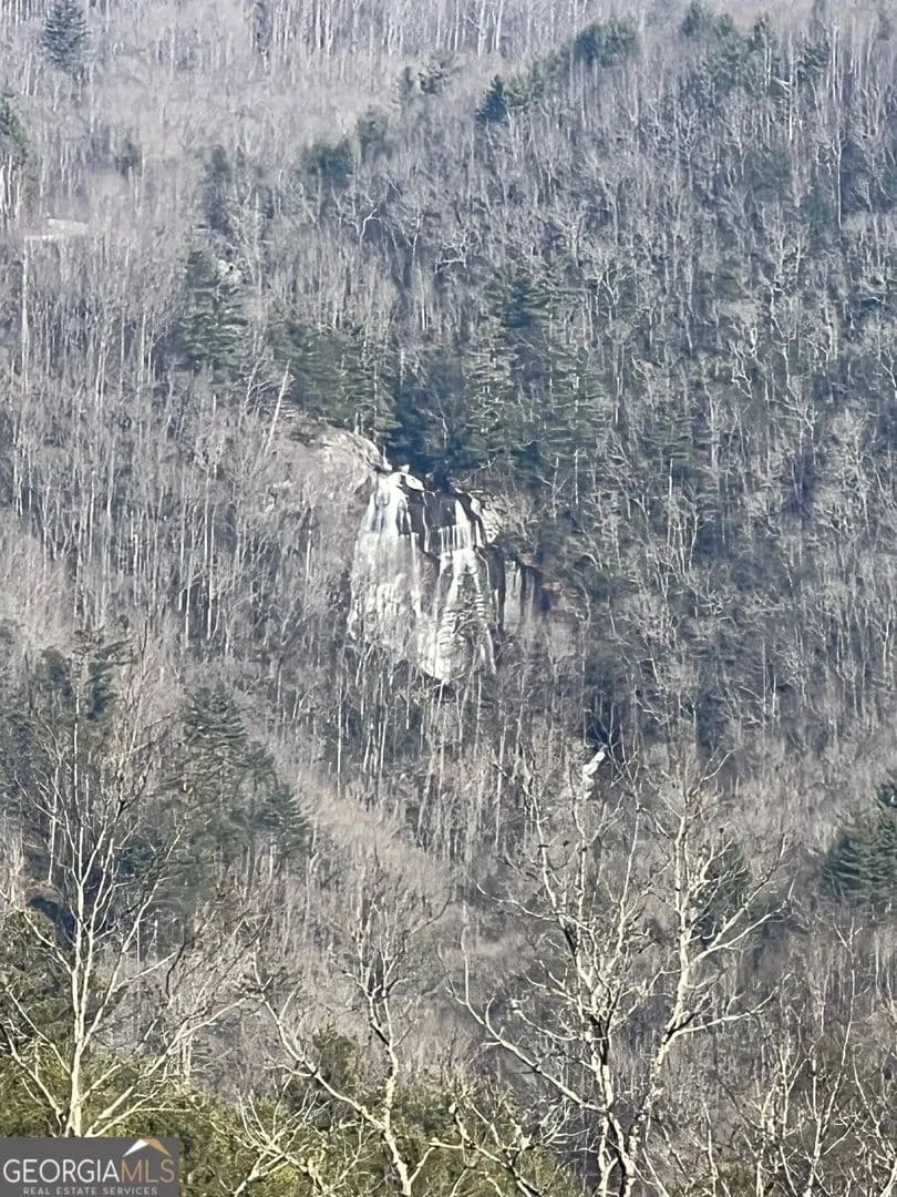 Lots & Land-Other in Dillard