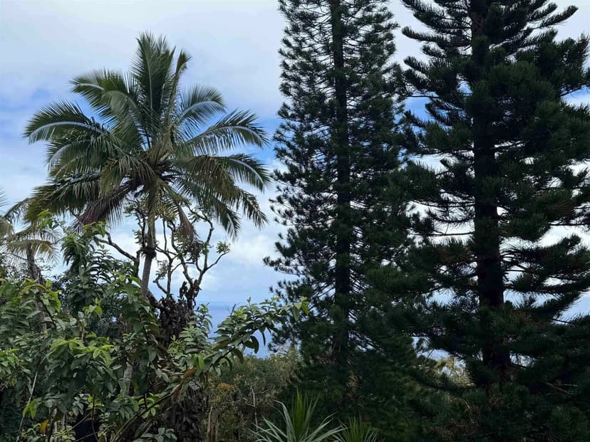 Property from 105 Acres Hana Hwy - KW