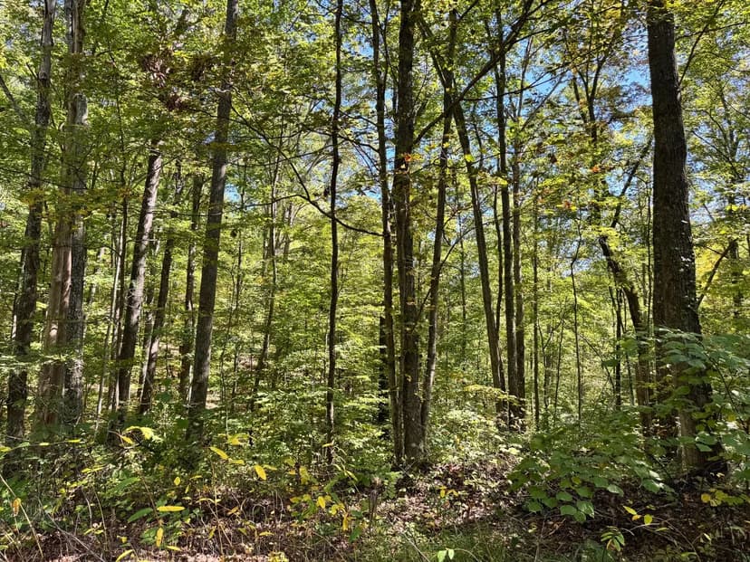 Property from 4500 Britton Branch Road - KW