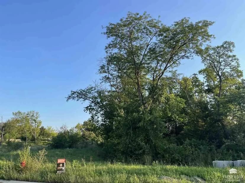 Lots & Land-Other in Manhattan