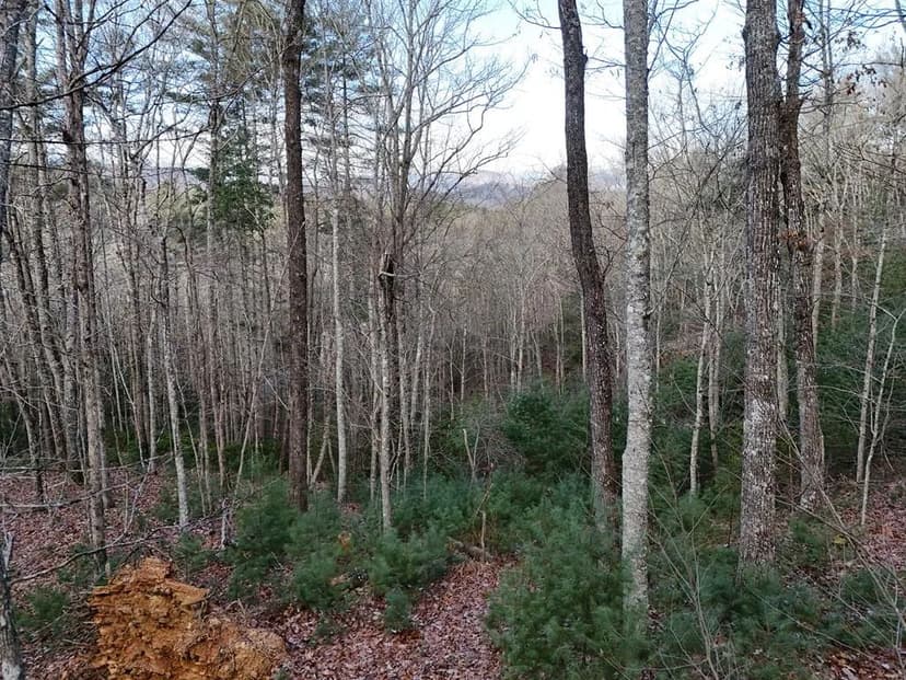 Lots & Land-Other in Mineral Bluff