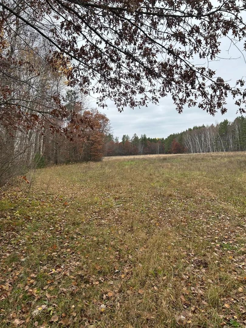Vacant Land in Forest Twp
