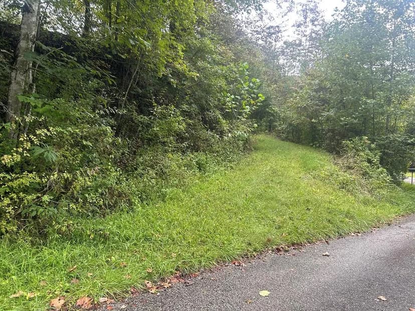 Lots & Land-Other in Inez