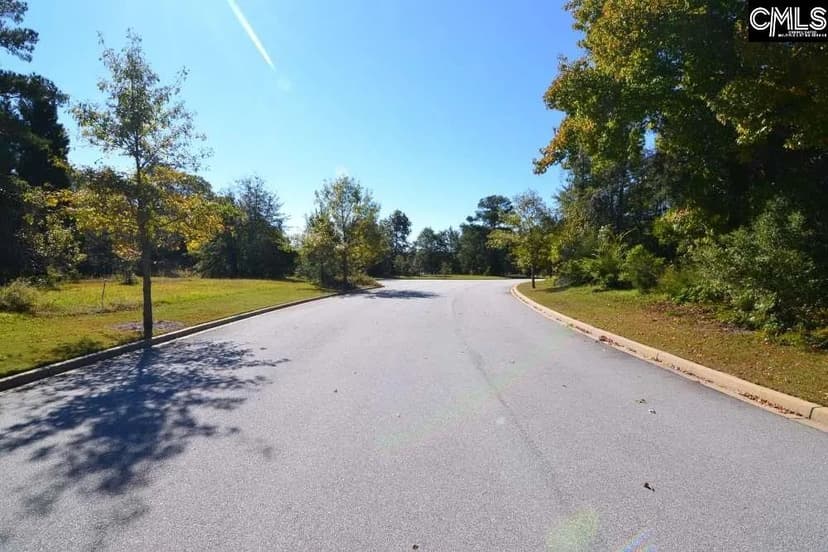 Vacant Land in Blythewood