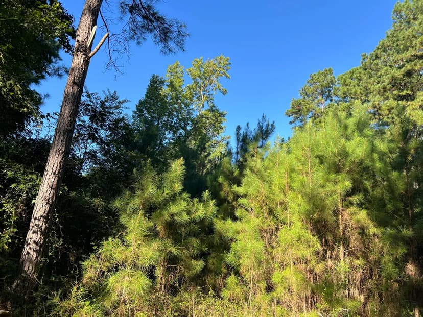 Lots & Land-Other in Santee