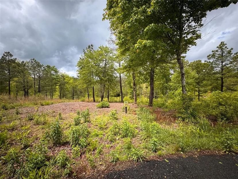Vacant Land in Mineral Bluff