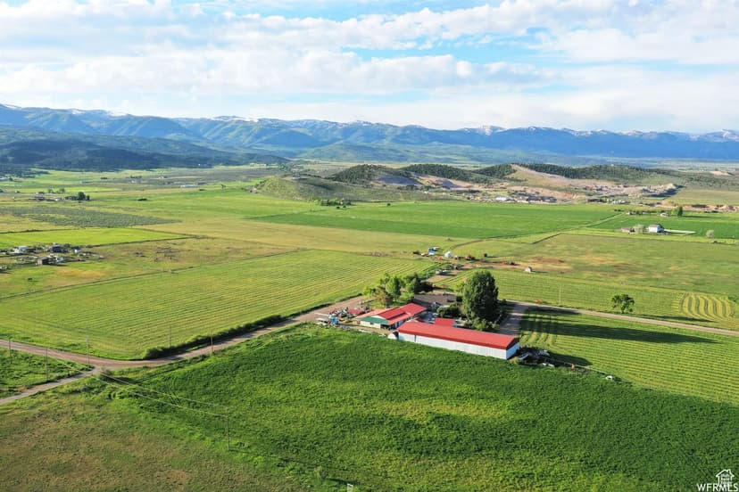 Vacant Land in Mt Pleasant
