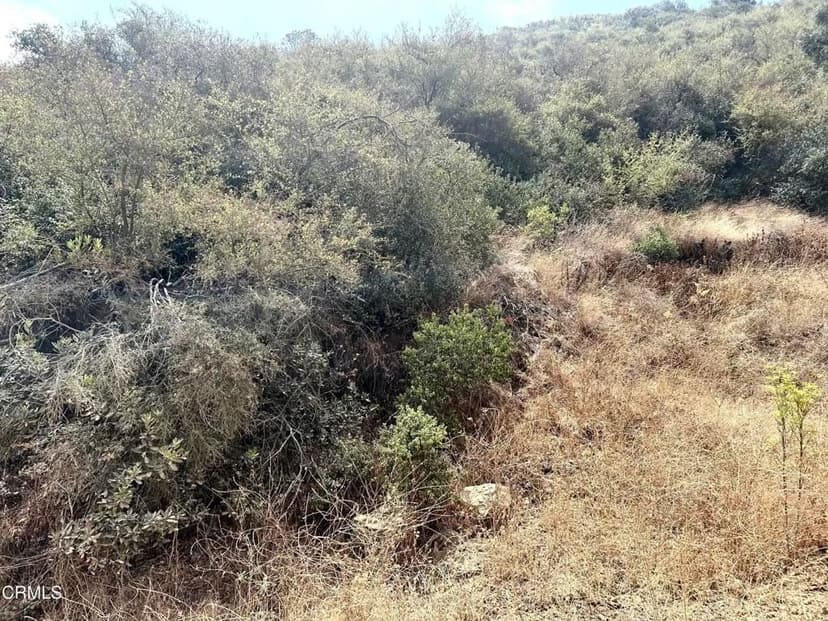 Vacant Land in Newbury Park