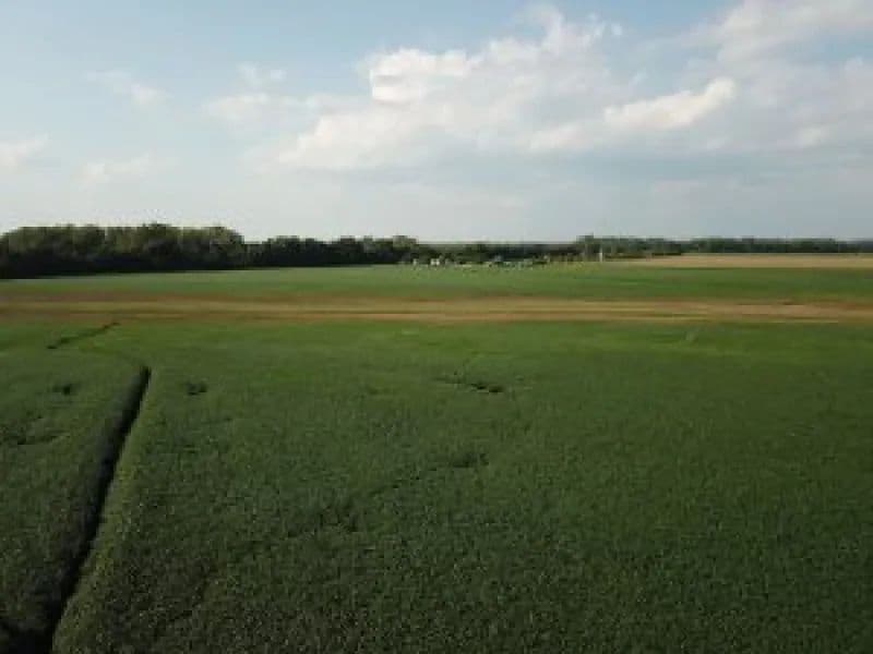 60 Tillable Acres for income/investment!!!