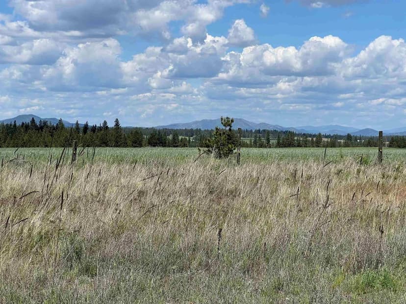 Property from XXX N Wood Rd - KW