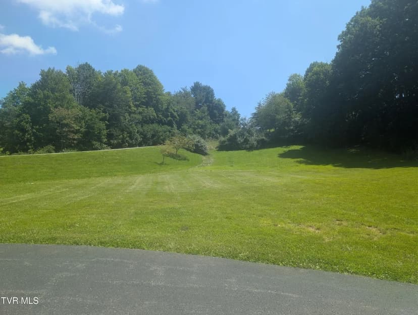 Lots & Land-Other in Wise