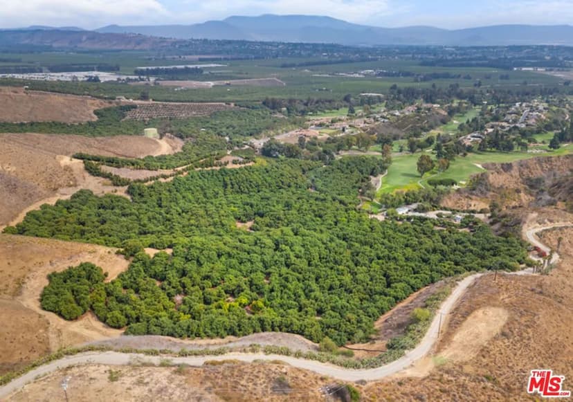 Vacant Land in Somis