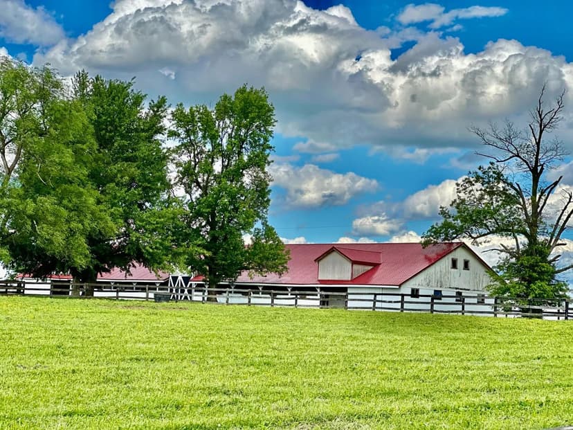 Property from 2120 Ironworks Road - KW