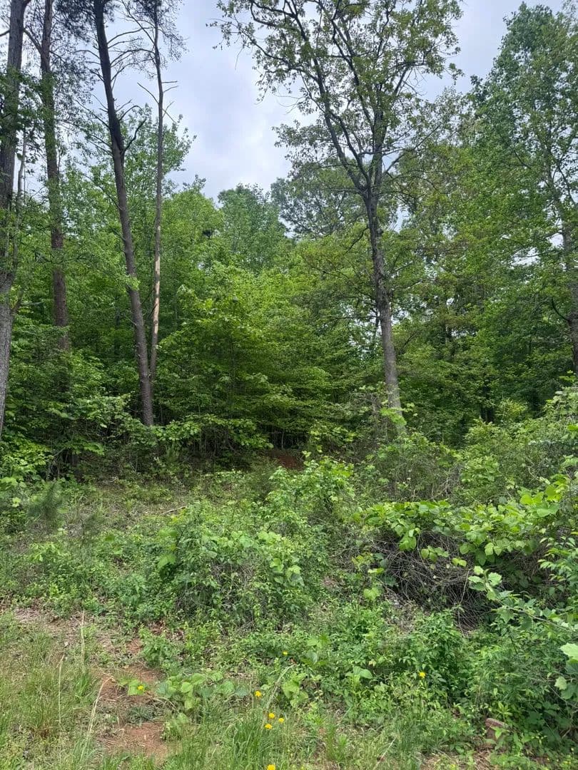 Vacant Land (0-10 Acres) in Toccoa