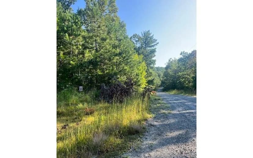 Lots & Land-Other in Ellijay