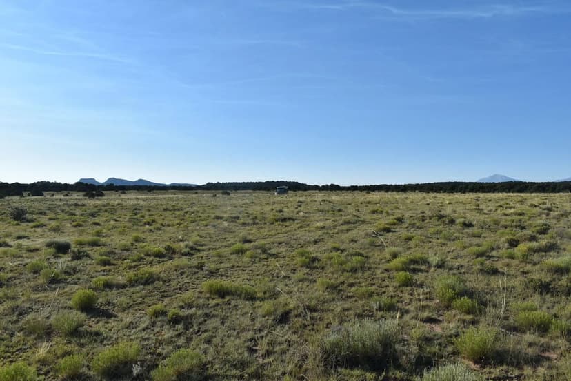 TBD Lizard Lane, Gardner, CO 81040