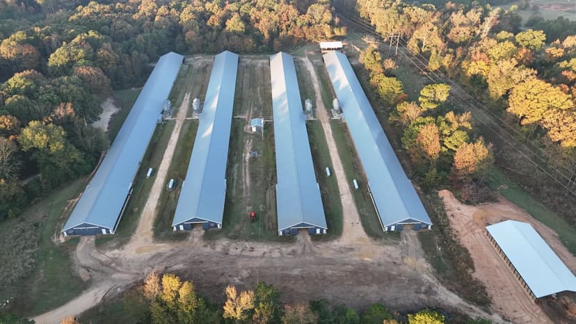 4 House Broiler Farm with Residence for Sale Downsville, LA