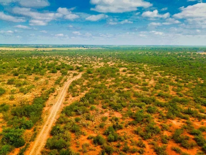 Carrizo Verde Ranch - Carrizo Springs TX