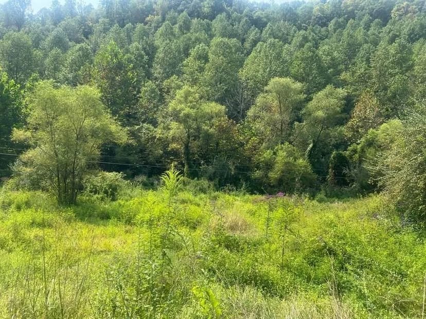 Lots & Land-Other in Prestonsburg