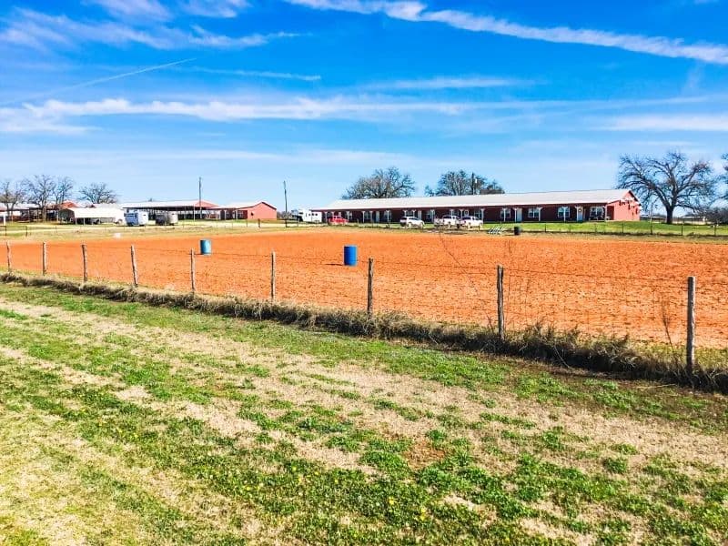 Bar M Apartments - Equine Boarding