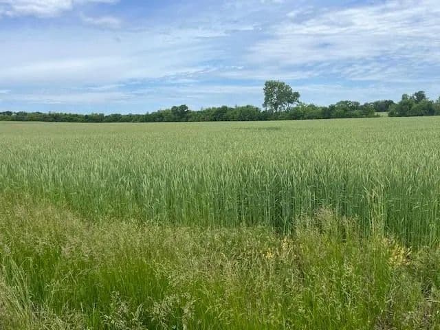 Property from 0006 W 271st Street - KW