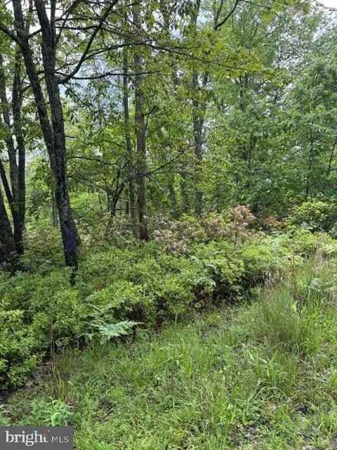 Lots & Land-Other in CLARENCE