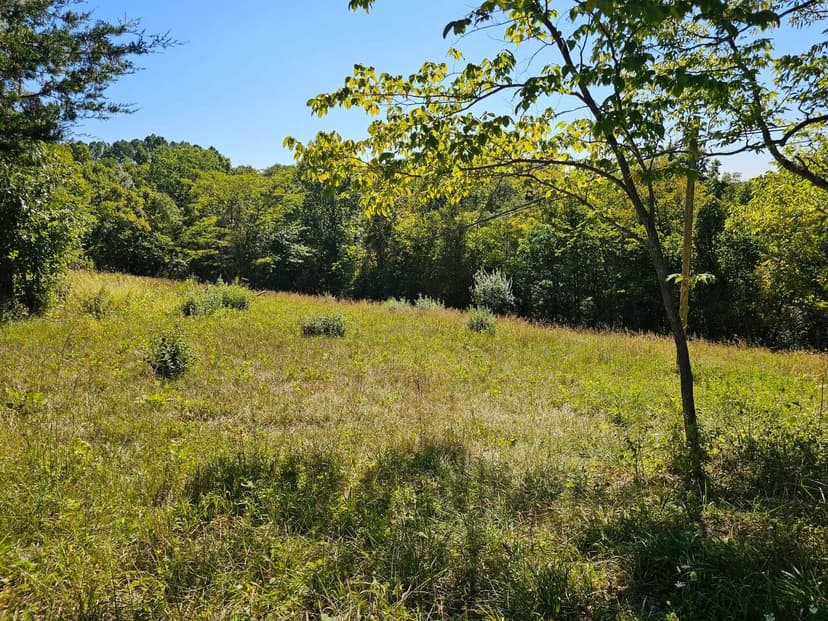 Property from 2456 KY-467 - KW