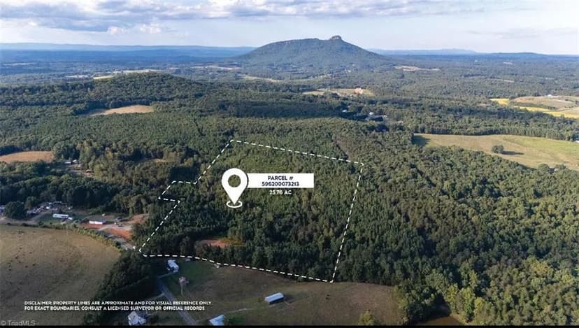 Vacant Land in Pinnacle