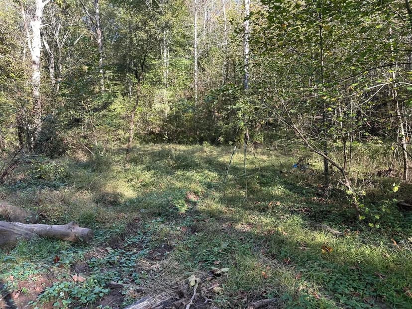 Lots & Land-Other in Reedsville