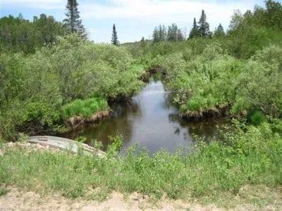 40 Acres w/Sturgeon River 1120988