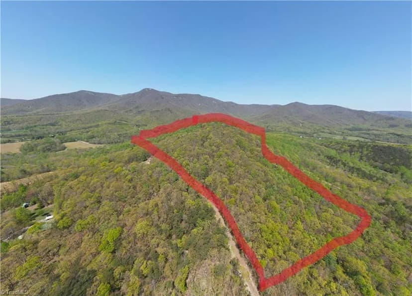 Vacant Land (10+ Acres) in Lowgap