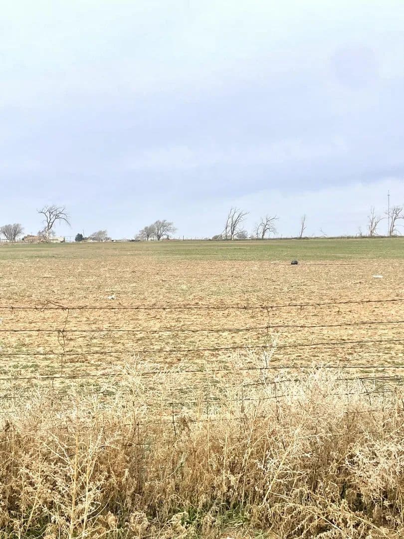 Property from 1302 Ave M - KW