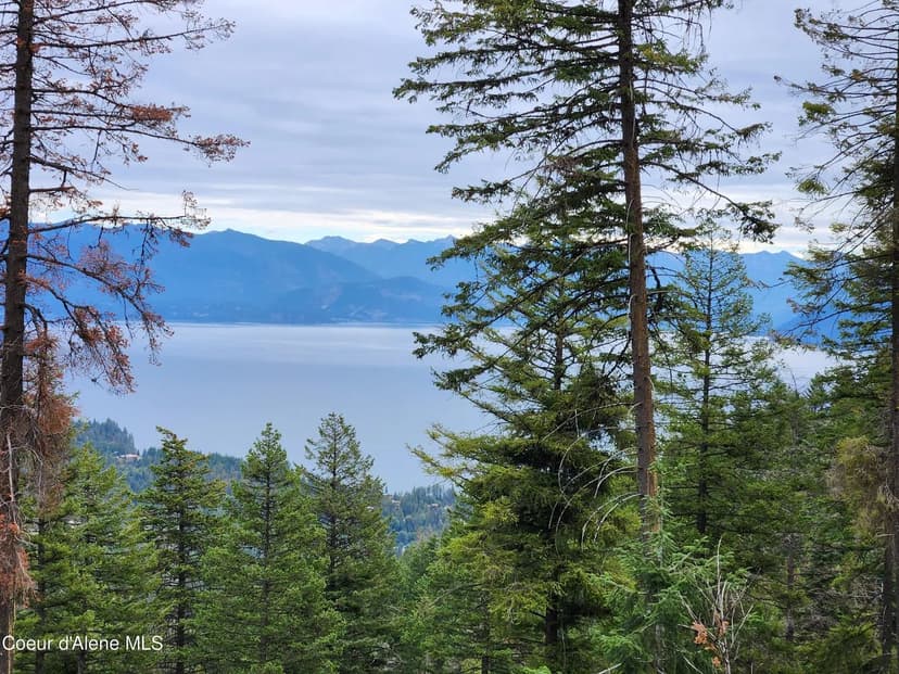 Property from NNA Talache Black Trail - KW