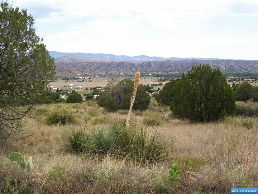 Vacant Land in Mimbres