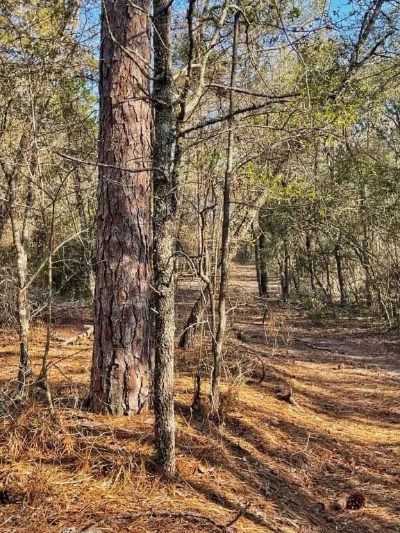 Emanuel Co. Hunting & Investment Tract