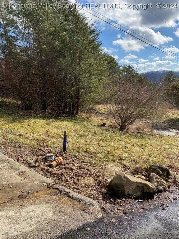 Lots & Land-Other in Cross Lanes