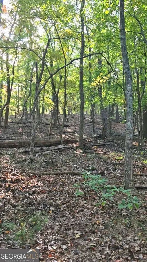 Lots & Land-Other in Big Canoe