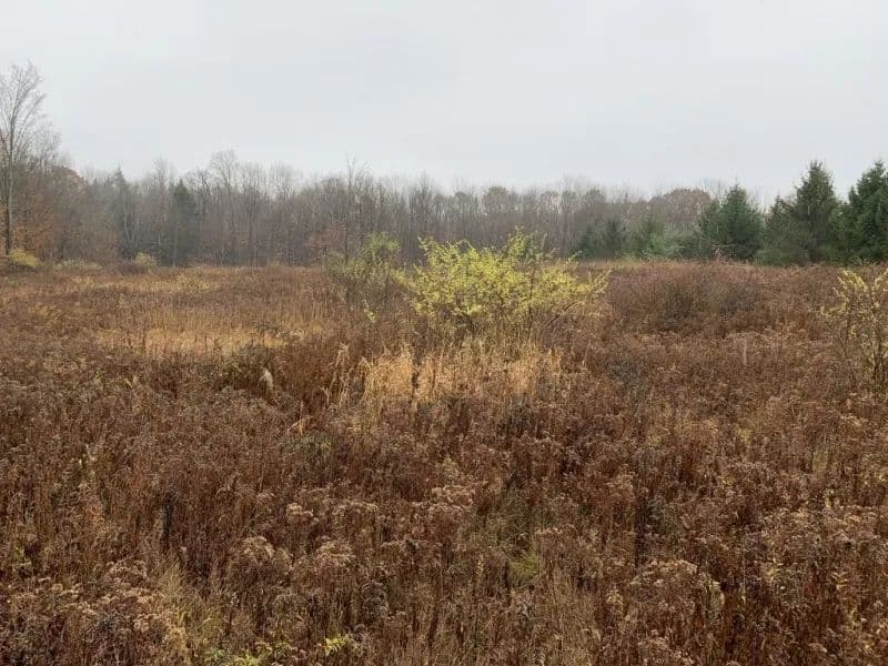 4 acres Building Lot with Views, Field, and Woods in Allen NY on Klein Road