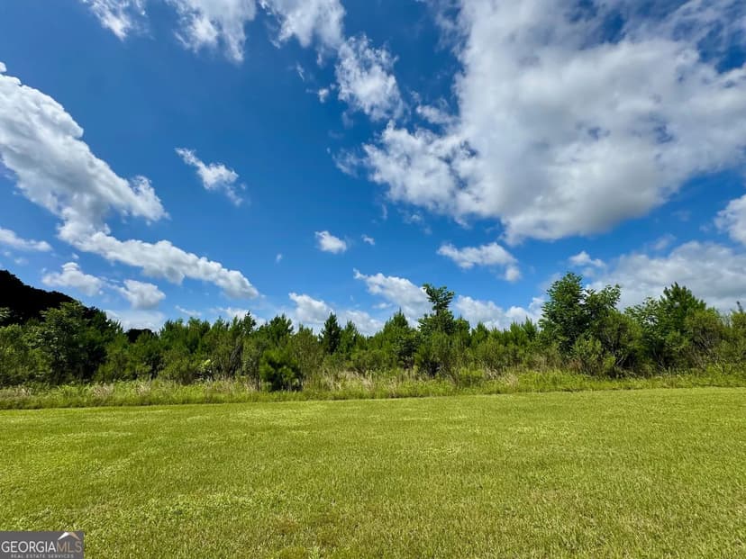 Property from 0 Irwinville Highway - KW