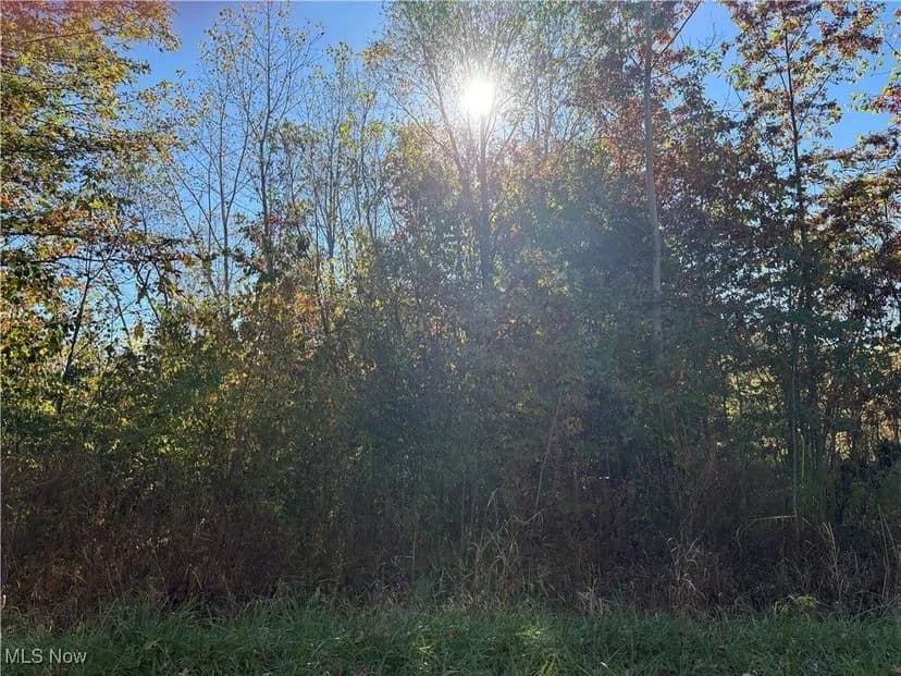 Lots & Land-Other in Lorain