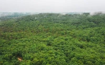 Anderson Mountain Tract 2