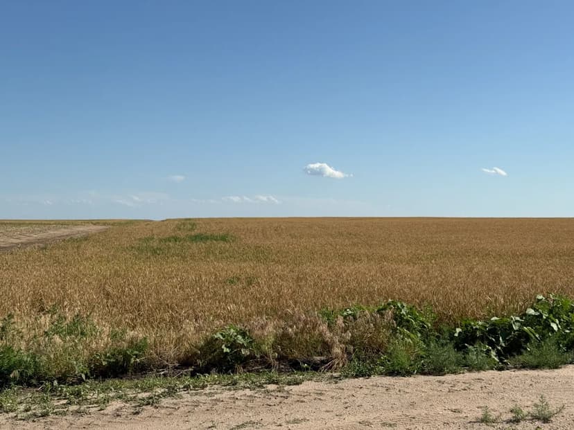 Hydeagri Farms | Parcel 1