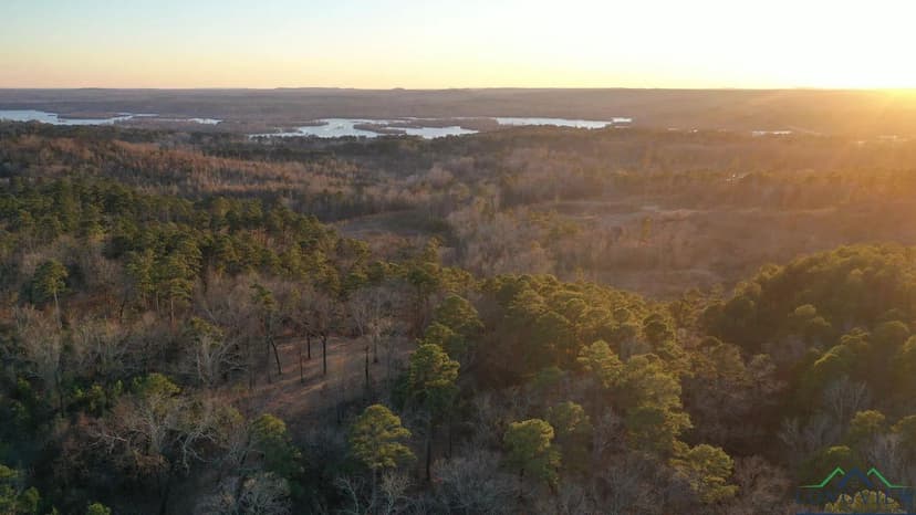 Lots & Land-Other in Lone Star