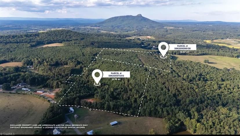 Vacant Land in Pinnacle