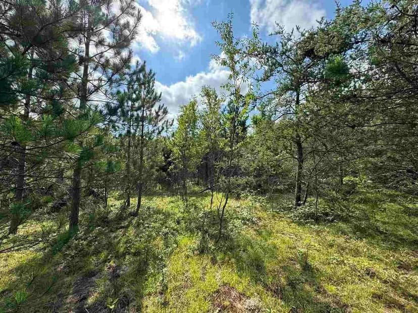 Lots & Land-Other in Cheboygan