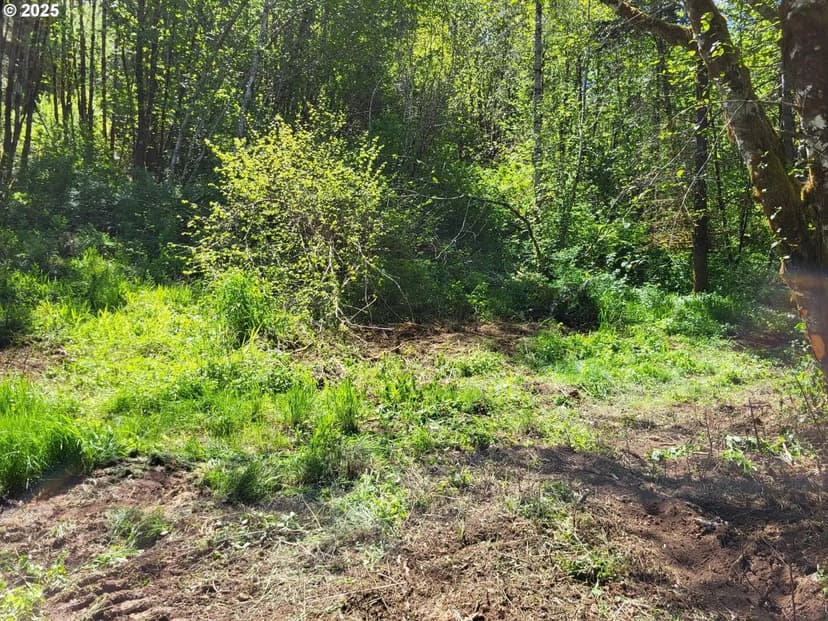 Lots & Land-Other in Grand Ronde